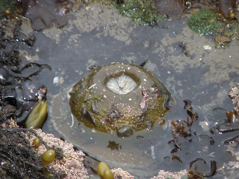 P6182033 Fitzgerald Reserve.JPG